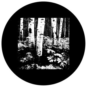 Goboservice - trees-woodsforest-5953