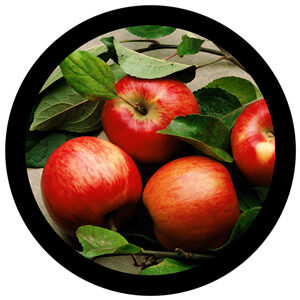 Goboservice - apples