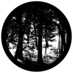 f1095-bw