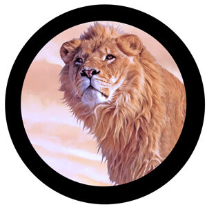 Goboservice - lion