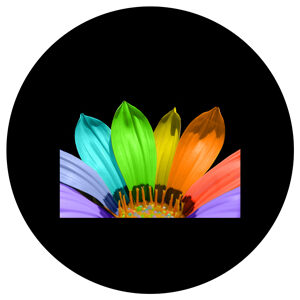 Goboservice - multicolor-flower