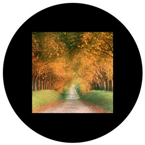 Goboservice - avenue