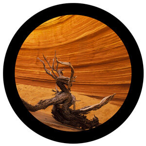 Goboservice - log-desert-rock-cavities