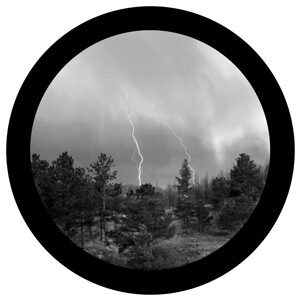 Goboservice - trees-forest-disturbances-lightning