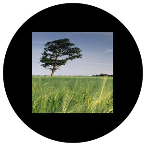 Goboservice - trees-grass