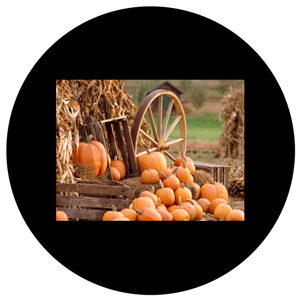 Goboservice - pumpkins