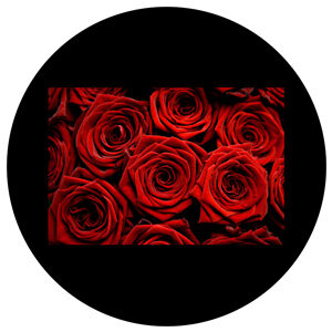 Goboservice - red-roses-bunch