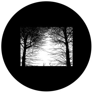 Goboservice - trees-woods-forest-9925