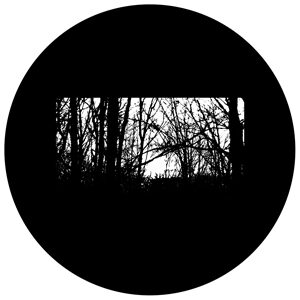 Goboservice - trees-woods-forest-9926