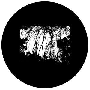 Goboservice - trees-woods-forest-9928
