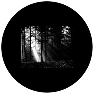 Goboservice - bosque-7401