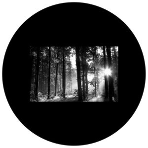 Goboservice - bosque-7400