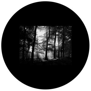 Goboservice - bosque-7406