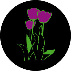 Goboservice - flores-7170