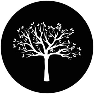 Goboservice - trees-woodsforest-5955