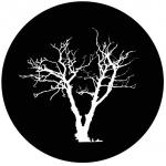 f1173-bw