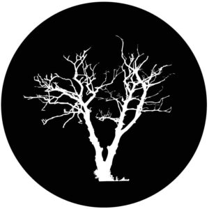 Goboservice - trees-woods-forest-9908