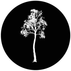 Goboservice - trees-woods-forest-9910