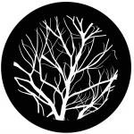 f1189-bw