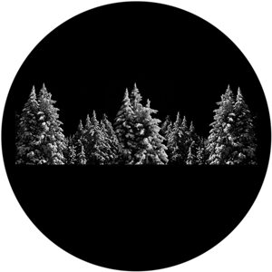 Goboservice - bosque-7409