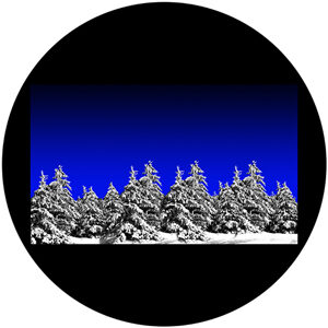 Goboservice - arboles-7045