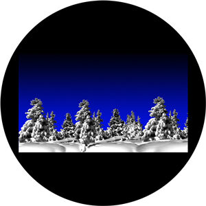 Goboservice - arboles-7046