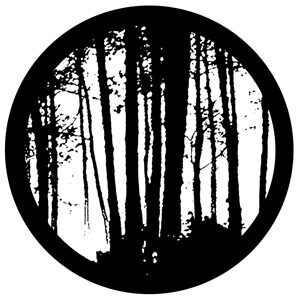 Goboservice - trees-woods-forest-9932