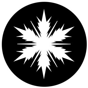 Goboservice - snowflake