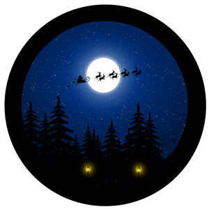 Goboservice - sledreindeer
