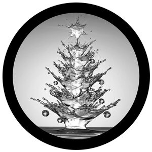 Goboservice - christmas-trees-2091