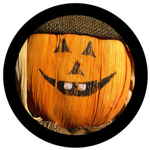 Goboservice - pumpkin-halloween-8582