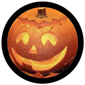 Goboservice - pumpkin-halloween-8583