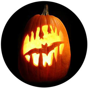 Goboservice - bats-pumpkin