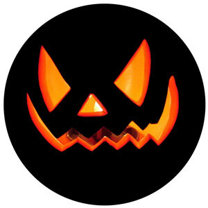Goboservice - pumpkin-halloween-8584