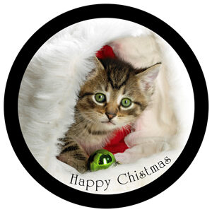 Goboservice - christmas-decorations-kitten