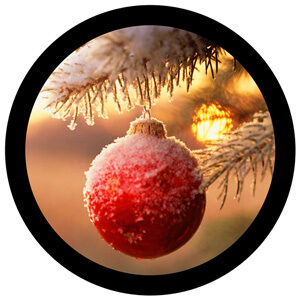Goboservice - christmas-tree-balls-snow
