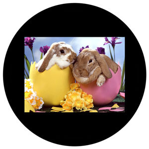 Goboservice - easter-eggs-rabbits