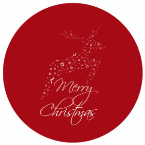Goboservice - merry-christmas-2663