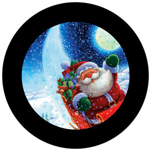 Goboservice - santa-claus-9224