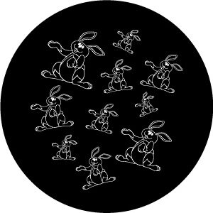 Goboservice - rabbits-8845