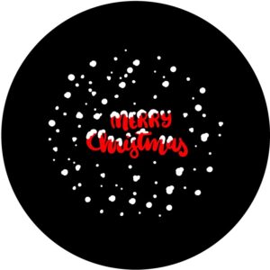 Goboservice - christmas-13542