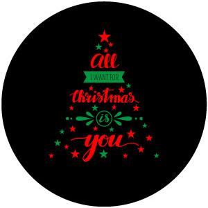 Goboservice - christmas-13548