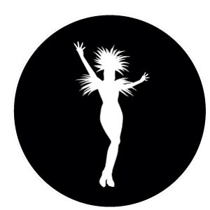 Goboservice - carnival-13313