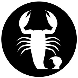 Goboservice - zodiac-2869