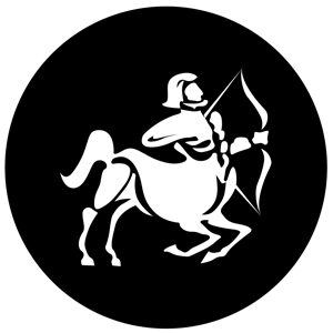 Goboservice - zodiac-2870