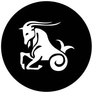Goboservice - zodiac-2871