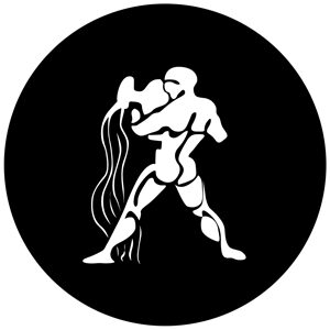 Goboservice - zodiac-2872