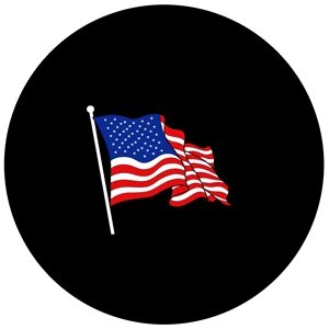 Goboservice - flag-usa-13060