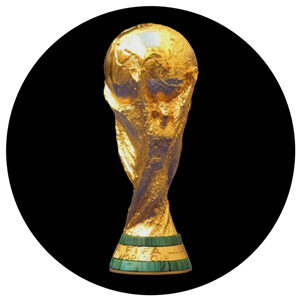 Goboservice - world-cup-2392