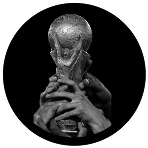 Goboservice - world-cup-2393